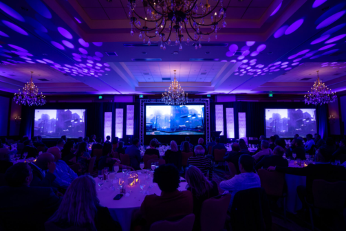 Untitled design (19)